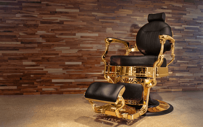 Choosing the Perfect Barber Chair
