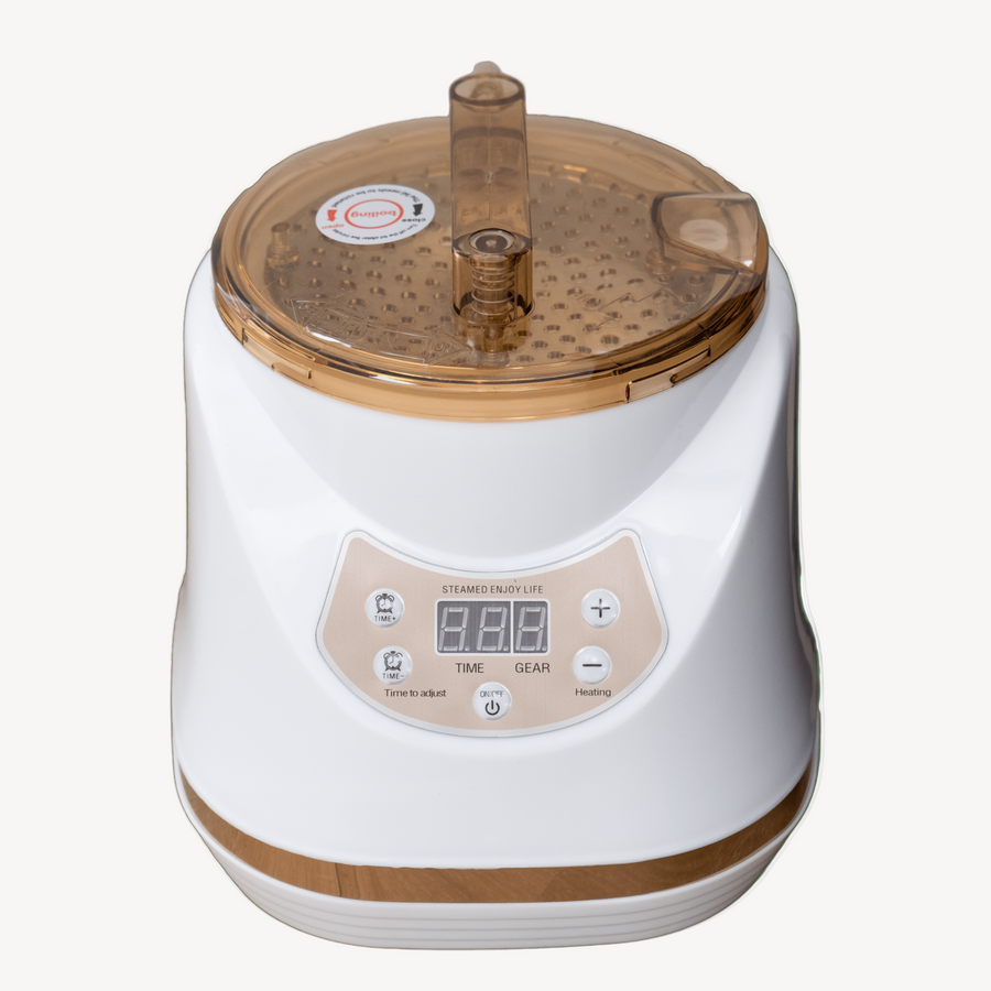 Dermalogic Head Spa Fumigator/Steamer white 00-XSH-HSPA-006-FMG