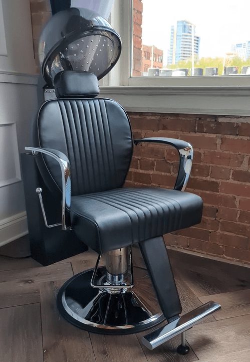 Berkeley Eclipse II Salon Hair Dryer with Adjustable Hood