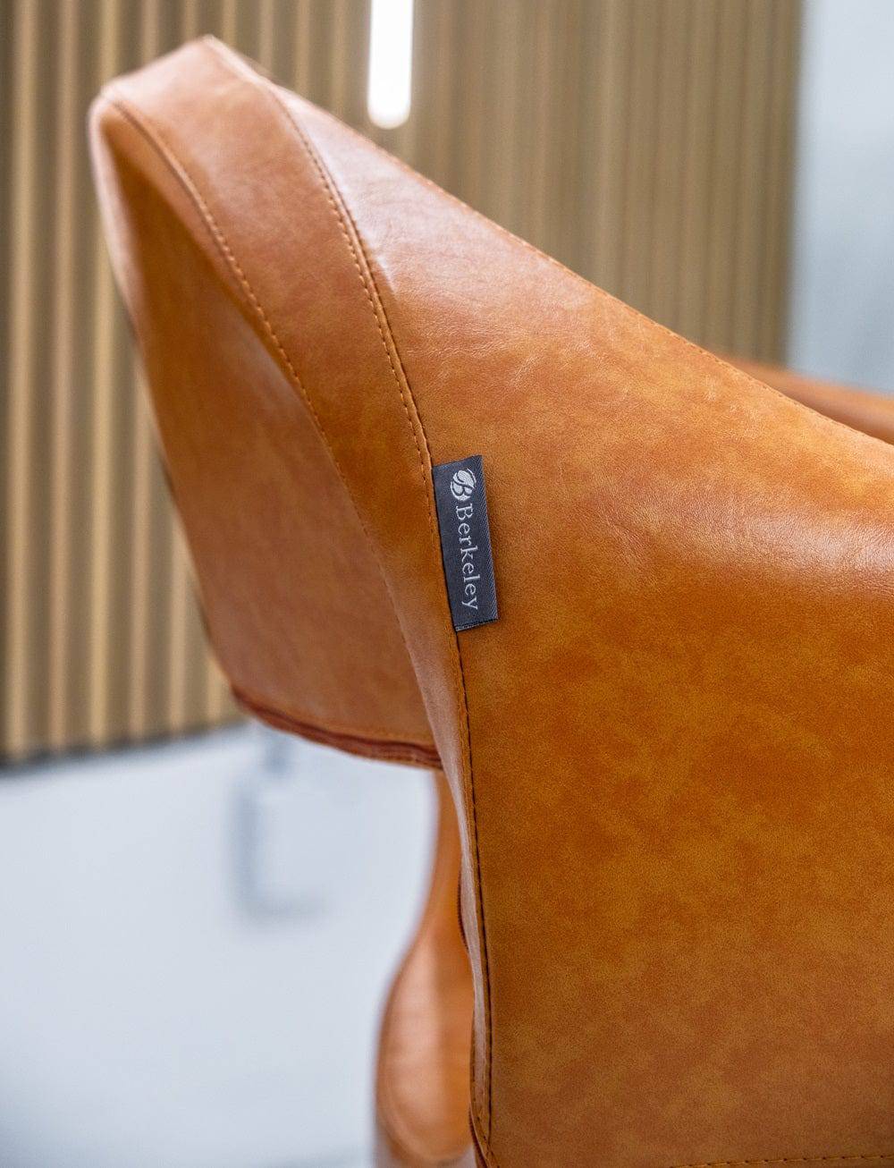 Berkeley Milla Beauty Salon Styling Chair