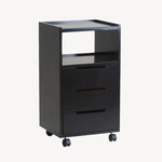 EarthLite Alpha 3 Trolley ERL-Black DSP-ERL-NTRLY-ALPHA-3-BLK