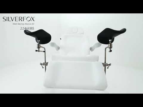 LuxeTouch Pro Smart Swivel Facial Chair(2246EBNS)