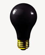 ShopSalonCity Black Light Bulb for Nail Dryer Table 00-BUL-BLB-621