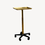 Trelavi Custom Powder-Coated Salon Rolling Service Tray