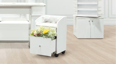6 Features You Want to Know To Select the Best Pedicure Trolleys and Carts for Your Salon