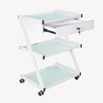 Beauty-Ace Salon Trolley BA6040 with 1 Lockable Drawer FF-DPI-TRLY-6040-WHT&FF-DPI-DRWR-603-WHT