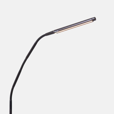 Daylight Electra LED Floor Lamp FF-DLT-LMP-U35231