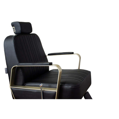 Berkeley Hudson All Purpose Salon Chair